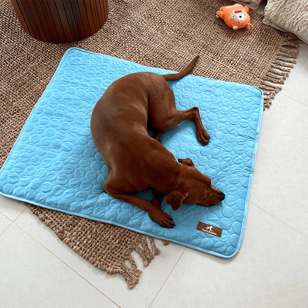 CoolPaws® CoolingMat