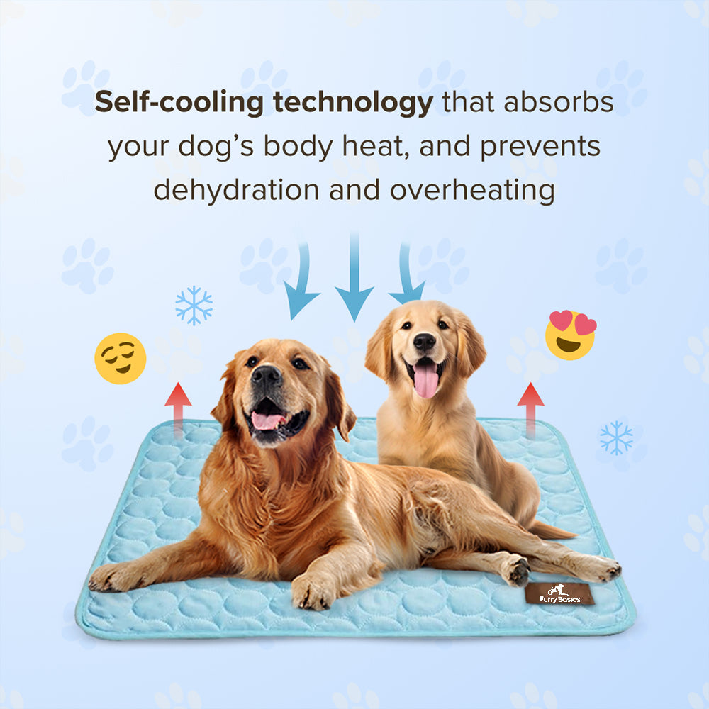CoolPaws® CoolingMat