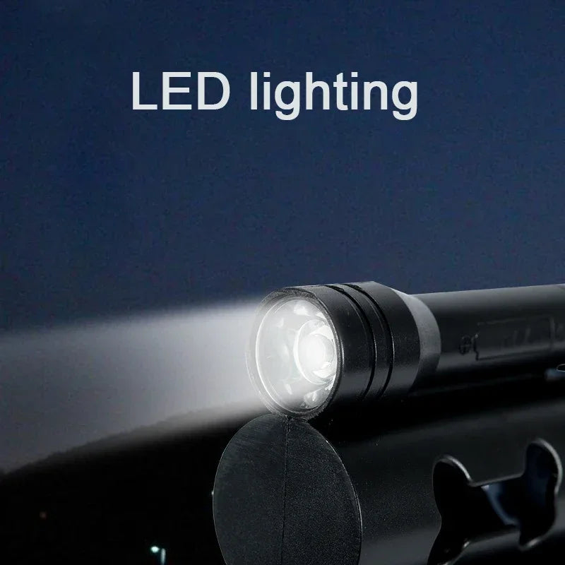 Dual leash with light