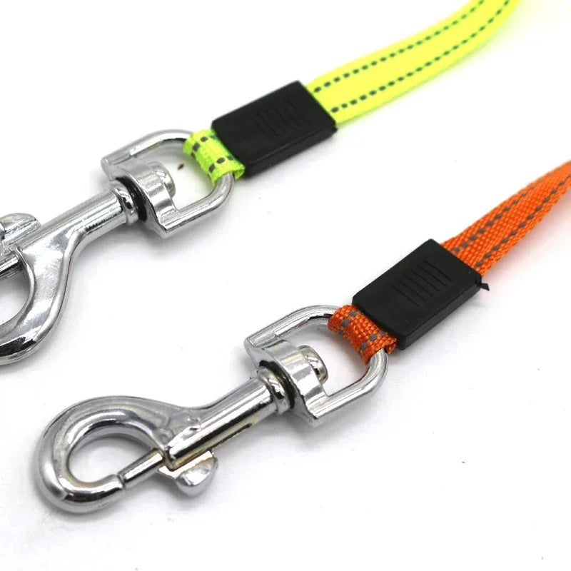 Dual leash with light